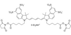 Cyanine 5.5 bissuccinimidyl ester