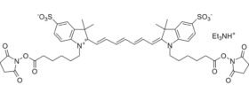 Cyanine 7 bissuccinimidyl ester