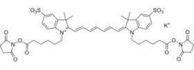 Cyanine 7 bissuccinimidyl ester, potassium salt