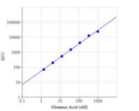 Amplite® Fluorimetric Glutamic Acid Assay Kit *Red Fluorescence*