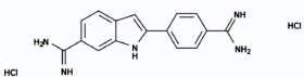 DAPI [4,6-Diamidino-2-phenylindole, dihydrochloride] *10 mM solution in water*   