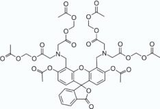 Calcein, AM *CAS 148504-34-1*