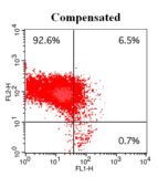 Cell Meter™ JC-10 Mitochondrion Membrane Potential Assay Kit *Optimized for Flow Cytometry Assays*