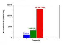 Ensayo de actividad de ROS total intracelular fluorimétrico Cell Meter™