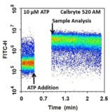 Cell Meter™ Flow Cytometric Calcium Assay Kit