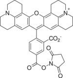 5-ROX, SE [5-Carboxy-X-rhodamine, succinimidyl ester]