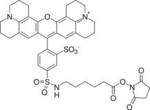 Texas Red-X, succinimidyl ester *Single isomer*   