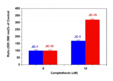 Cell Meter™ JC-10 Mitochondrion Membrane Potential Assay Kit *Optimized for Microplate Assays*