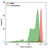 Cell Meter™ Intracellular GSH Assay Kit *Optimized for Flow Cytometry with 405 nm excitation*