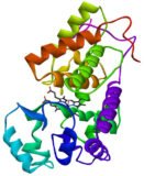 Horseradish Peroxidase (HRP) *Optimizada para conjugacion*