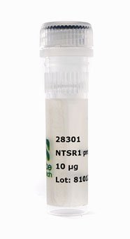 NTSR1 Protein