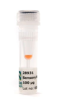 Sensory Rhodopsin-2 (Np)