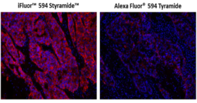 iFluor® 594™ PSA™ Imaging Kit with Goat Anti-Rabbit IgG