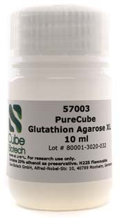 Glutation agarosa XL