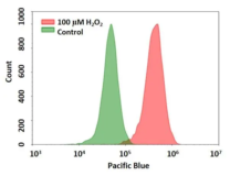 Ensayo de peróxido de hidrógeno intracelular fluorimétrico Cell Meter™