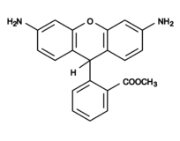 Sonda Dihidrorodamina 123 CAS 109244-58-8