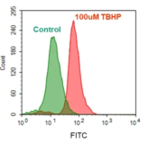 Ensayo de actividad de ROS total intracelular fluorimétrico Cell Meter™