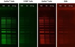 Tinte en gel Gelite™ Safe DNA