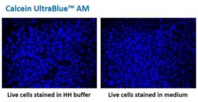 Calcein UltraBlue™ AM, sonda fluorescente