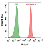 Buccutite™ Rapid Protein Crosslinking Kit